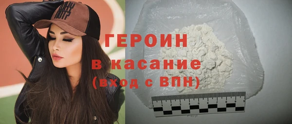 индика Долгопрудный