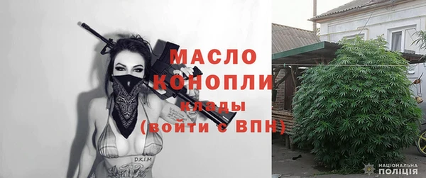 индика Долгопрудный