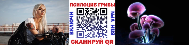 KRAKEN ссылка  Павловский Посад  Псилоцибиновые грибы Cubensis  купить закладку 
