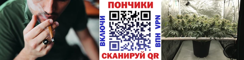блэк спрут ССЫЛКА  что такое наркотик  Павловский Посад  МАРИХУАНА THC 21% 